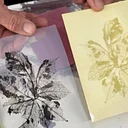 Anthotype Printing