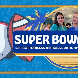 Super Bowl LXI: Where To Watch The Super Bowl Venice Beach