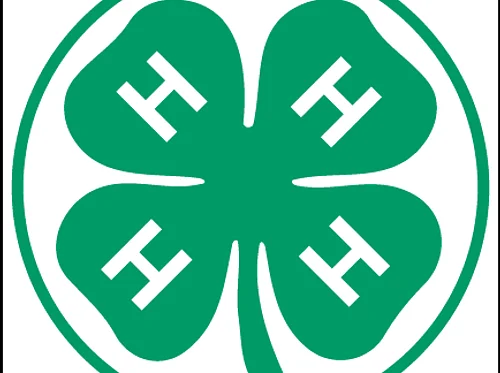 Sam’s Creek 4-H Club Bingo – May 31st