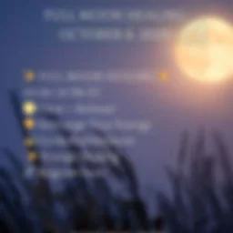 Full Moon Healing with Marcia