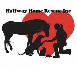 Halfway Home Rescue at Amore Flooring Design Center