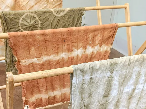 Natural Dyes Workshop