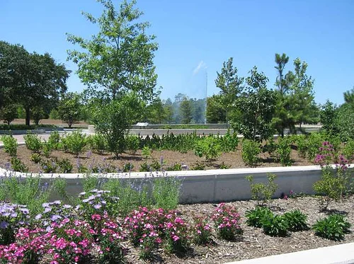 Student Performances in the Park: The Marching Owl Band
