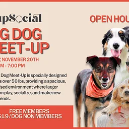 BIG DOG MEET-UP