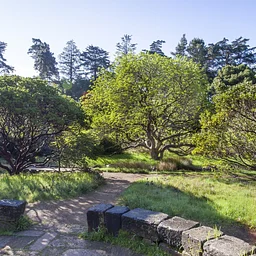 Member Volunteer Morning: California Native Garden