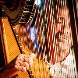 Moon-lite Concert Series: Scott Marischen Quartet