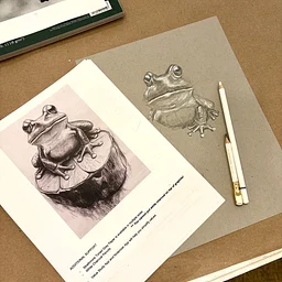 Drawing Fundamentals Class
