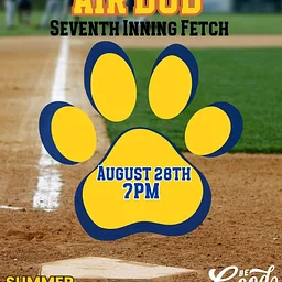 Summer Movies: Air Bud- The Seventh Inning Fetch