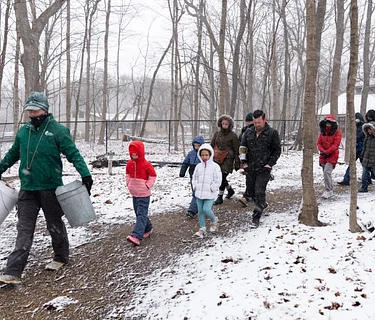 Maple Syrup Festival