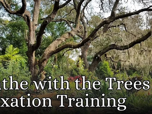Breathe with the Trees Relaxation Training