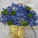 Art Workshop: Multi-Media Nature Painting