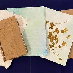 Nature (+)2: Bookmaking from Scratch