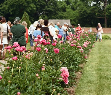 The Peony Path Tour