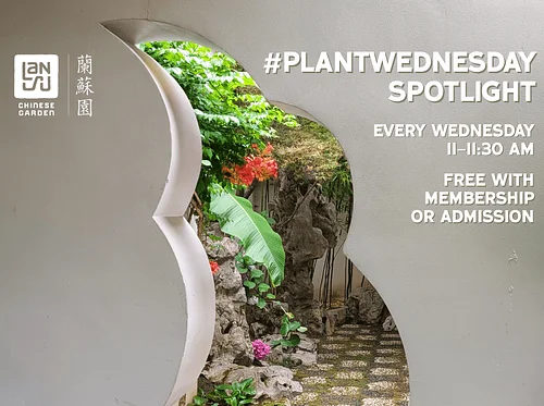 #PlantWednesday Spotlight
