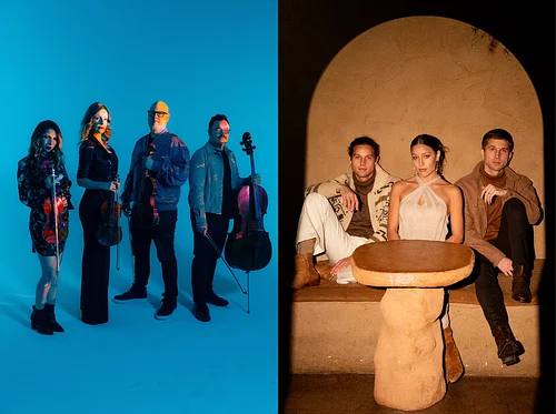 Vitamin String Quartet & Girl Named Tom