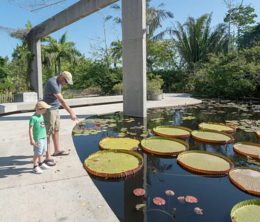 Explore the Garden with Dad!