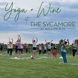 Yoga + Wine Night