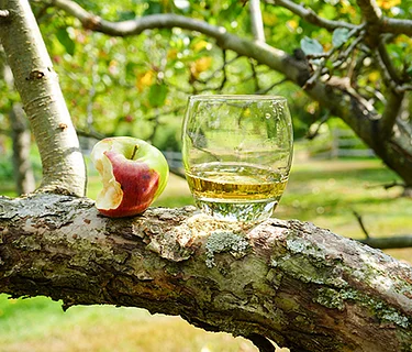 Cores & Pours: A Farm to Cider Tasting Event