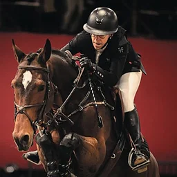 Washington International Horse Show