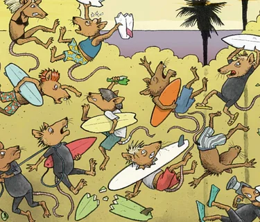 San Diego Surf Festival