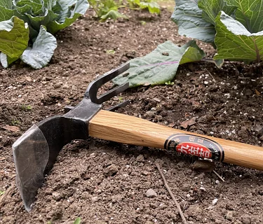 Tool Sharpening Workshop