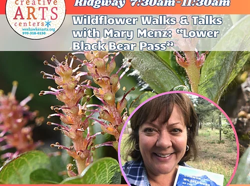 Wildflower Walk & Talk: Exploring Lower Black Bear Pass