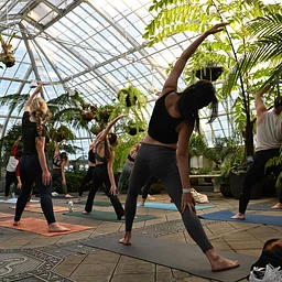 After-Hours Yoga in the Conservatory