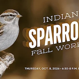 Indiana Audubon Sparrow ID: Fall Workshop