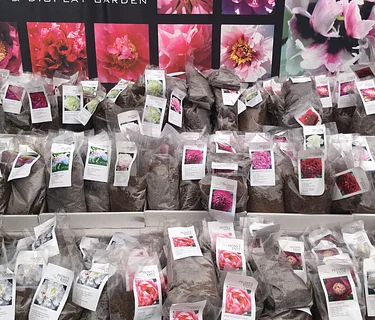 Bloom Flower & Home Market - Burlington, VT