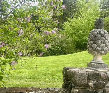 Gardening Lecture Series: Sustainable Lawncare - Practical Organic Methods for Homeowners
