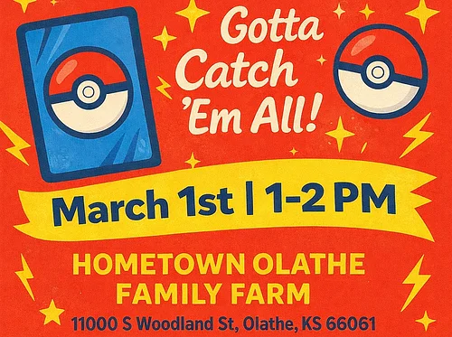 Pokémon Card Trade Night — Gotta Catch ’Em All!