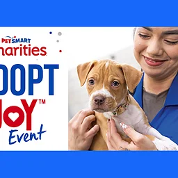PetSmart Adopt Joy Event – North Tampa