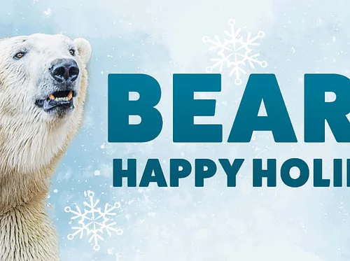 Beary Happy Holidays (2026)