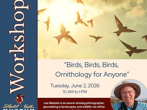 Workshop: “Birds, Birds, Birds, Ornithology for Anyone”