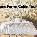 Cabin Tours