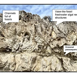 Bruneau Fossil Reef Field Trip