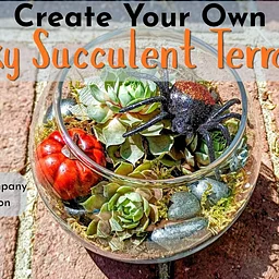 Create Your Own Spooky Succulent Terrarium