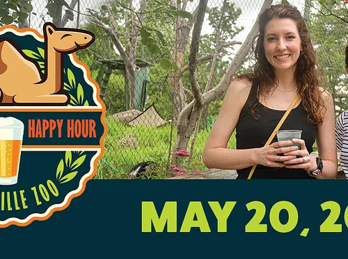 Hump Day Happy Hour – Social Lights