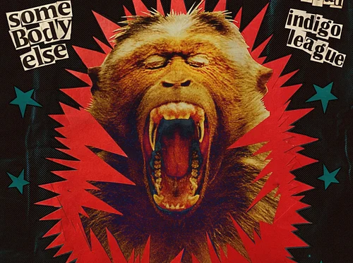 Star Student | Jockey | Somebody Else | Sonia Is Dead | Indigo League