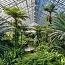 Garfield Park Conservatory