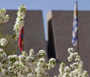 Saturday Special: Visual Arts Museum Tour