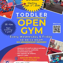 Toddler Open Gym