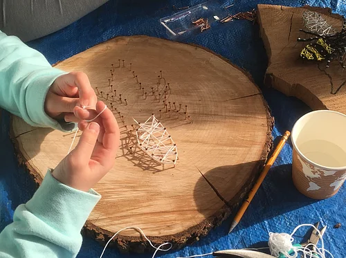 Nature’s Art Box
