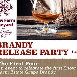 Brandy Release Party