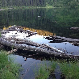 Baree Lake – Libby