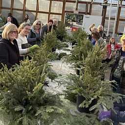 Social Saturday – Winter Porch Pot – SORRY, THIS CLASS IS SOLD OUT