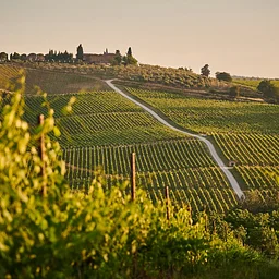 Piedmont Tour with Amy Brandwein