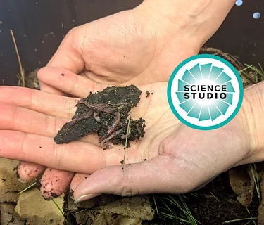 Science Studio: Worms