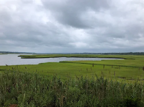 Annual Meeting – Salt marsh ecology