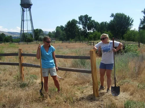 Volunteering at Fort Missoula Native Plant Garden